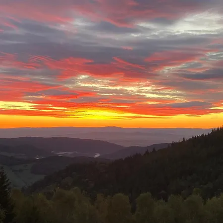 Szálloda De L'etang Du Devin Lapoutroie